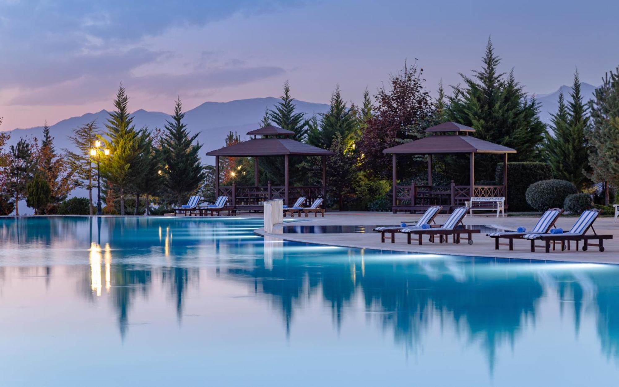 Shamakhi Palace Sharadil Seredil Bagian luar foto The swimming pool at the hotel