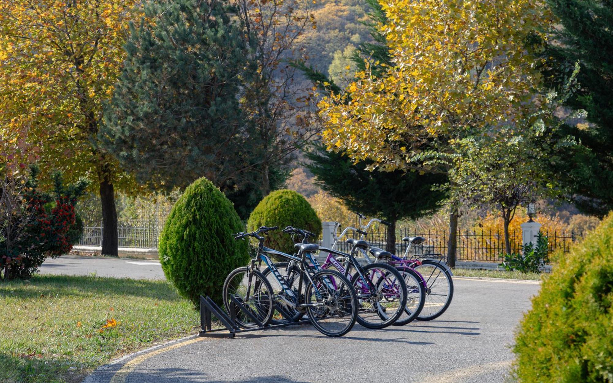 Shamakhi Palace Sharadil Seredil Bagian luar foto Bicycles parked at the entrance of the park