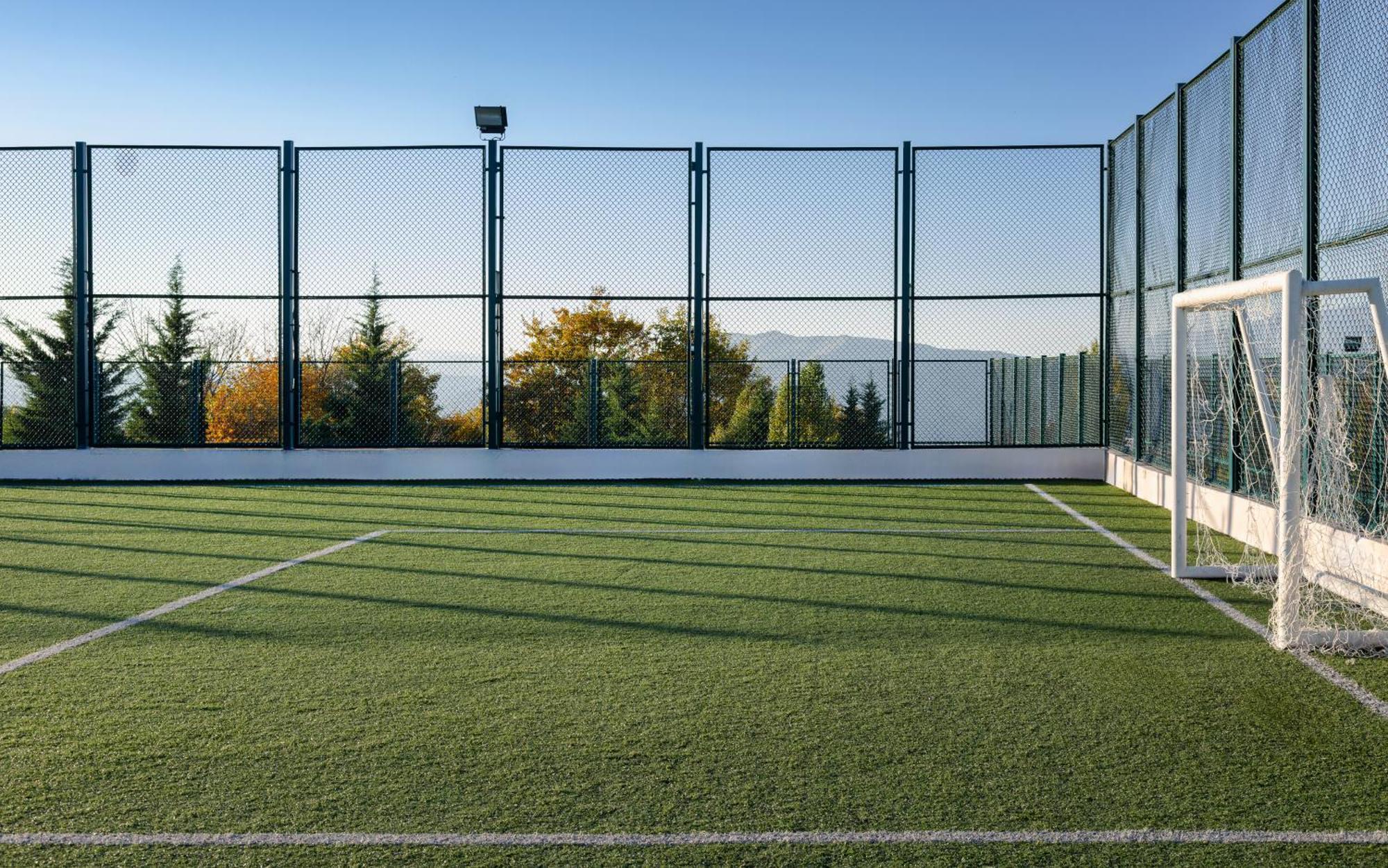 Shamakhi Palace Sharadil Seredil Bagian luar foto The artificial grass pitch at the University of Novi Sad